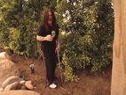 The Osbournes