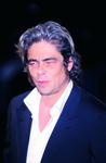 Benicio del Toro<br /><span style="font-style:italic;">Foto: Kurt Krieger</span>