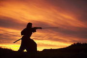"Last Samurai" erfolgreich