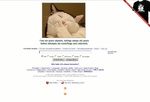 Wieder erreichbar: The Pirate Bay