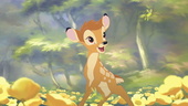"Bambi 2" wurde von der FBW mit dem h�chsten Pr�dikat versehen (Bild: Buena Vista)