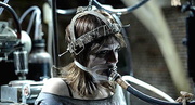 Er�ffnet das Fantasy Filmfest in Berlin: "The Pack" (Bild: Sunfilm)