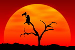 �berschuldet und mit leeren Kassen meldete Playlogic Zahlungsunf�higkeit in den Niederlanden an (Bild: Fotolia)