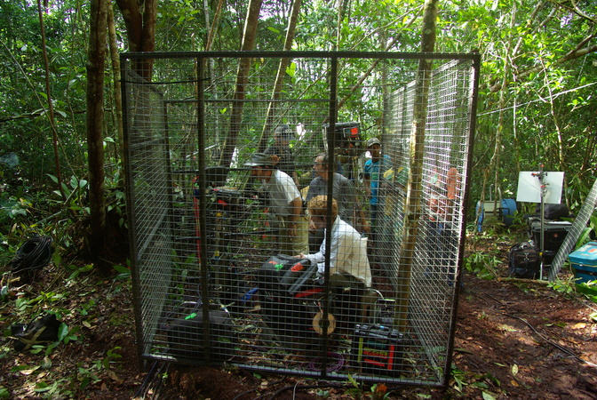 Blickpunkt Film Film Amazonia Abenteuer Im Regenwald