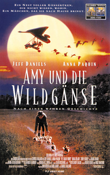 Amy Und Die Wildgänse Amy Und Die Wildgänse