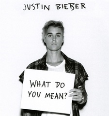 What Do You Mean?