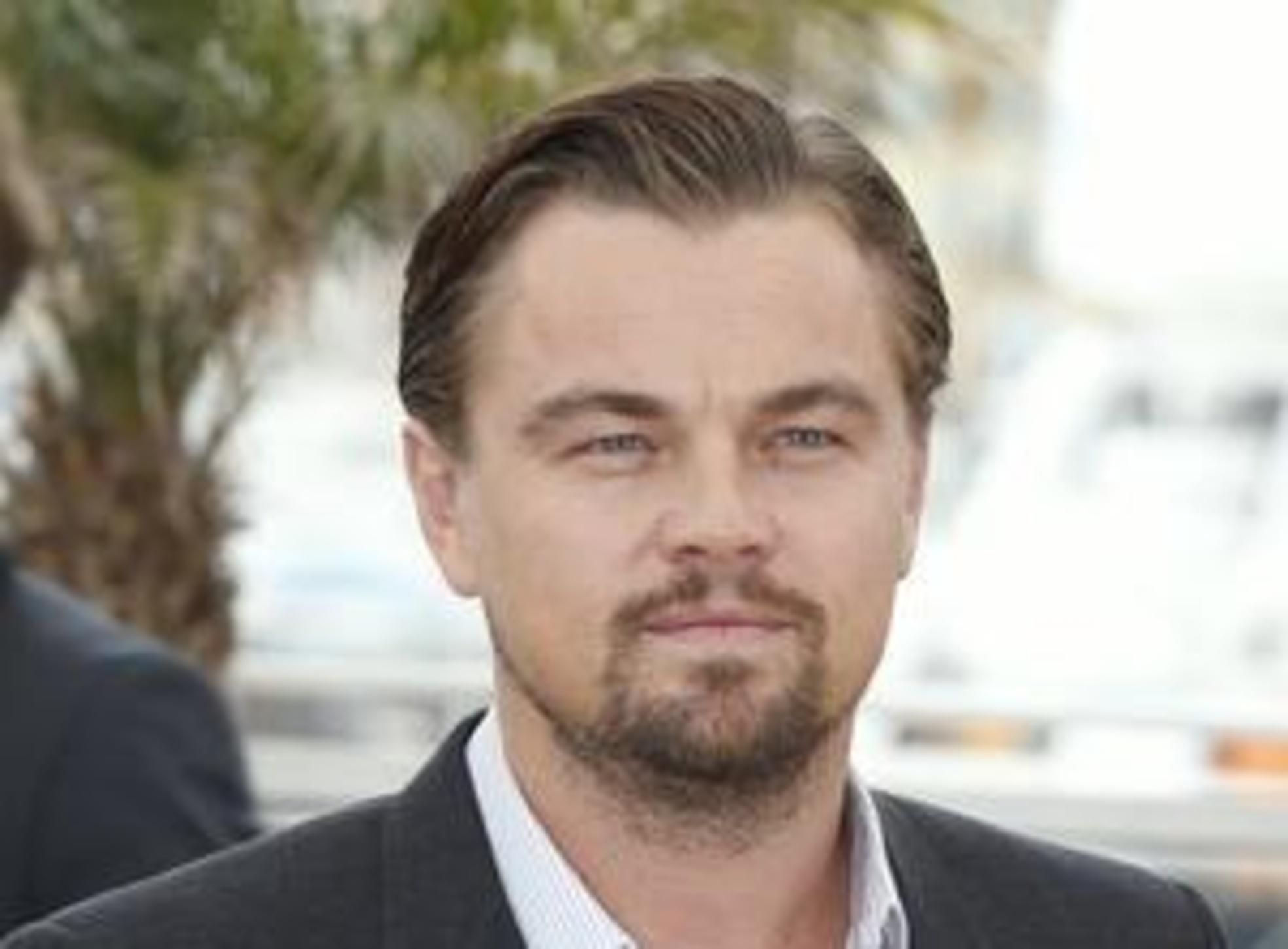 Dicaprio Plant Rausch Remake