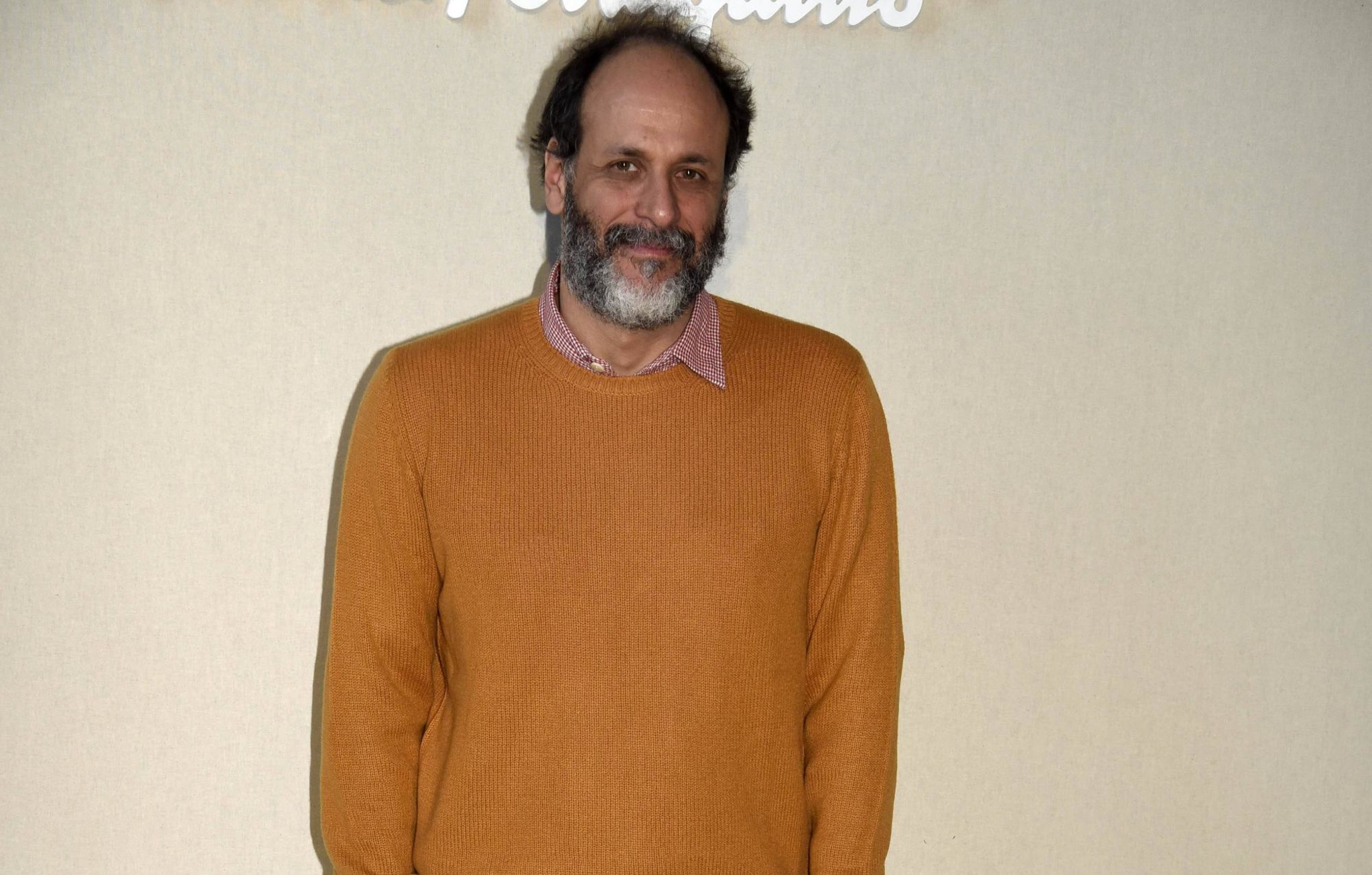 Next photo of Luca Guadagnino