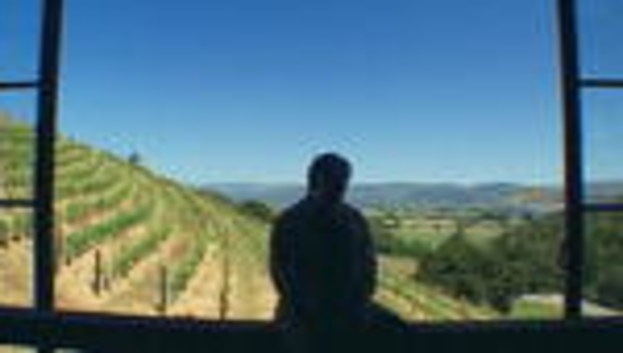  Mondovino Ist besonders Wertvoll 